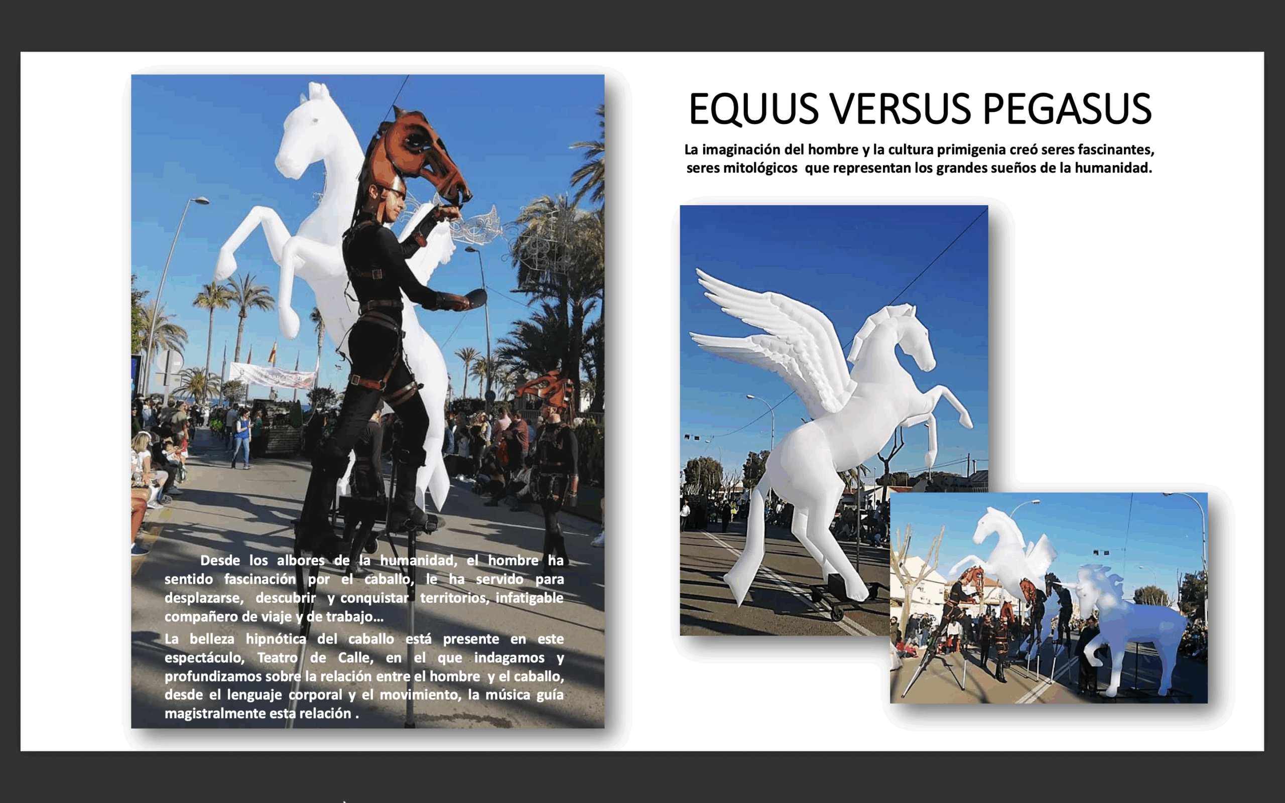 Cartel EQUUS